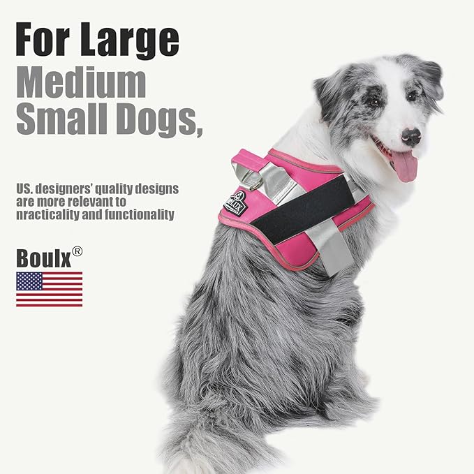 Bolux Dog Harness, No-Pull Reflective Dog Vest, Breathable Adjustable Pet Harness with Handle for Outdoor Walking - No More Pulling, Tugging or Choking (Fuchsia, Large (Pack of 1))