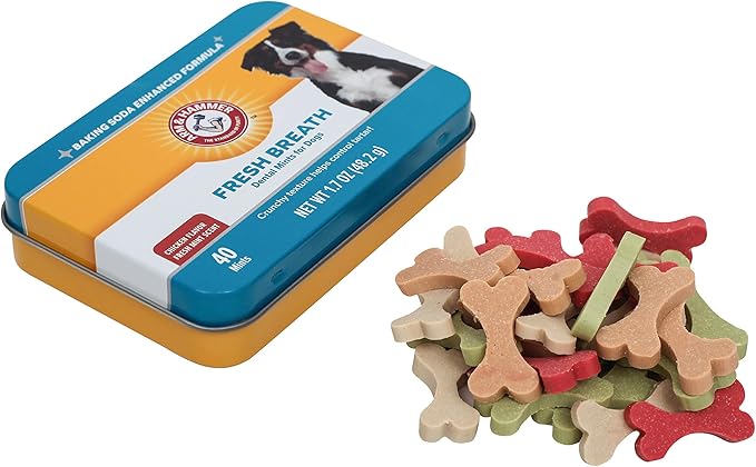 Arm & Hammer for Pets Dental Mints for Dogs, Fresh Breath | Get Fresh Doggie Breath Without Brushing, Way to Fresher Dog Breath | Chicken Flavor, 40 Count (Packaging may vary)