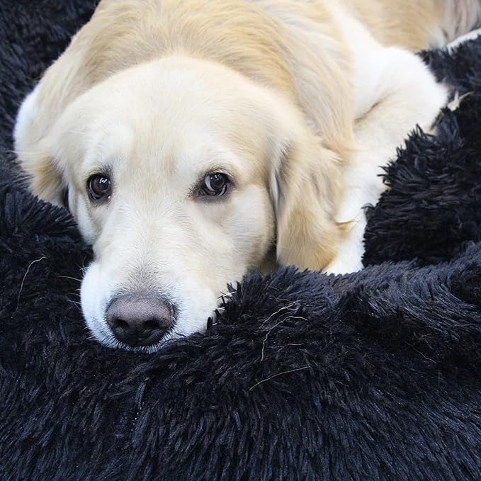 Black Dog Bed for Extra Large Dogs 150 lbs