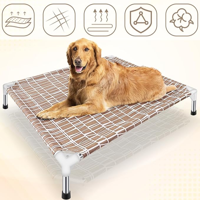 Elevated Dog Bed