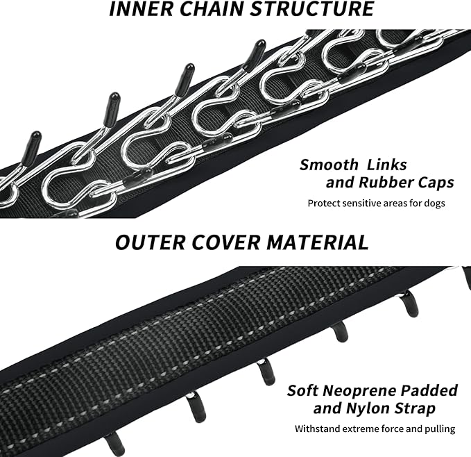 Martingale Collar for Dogs