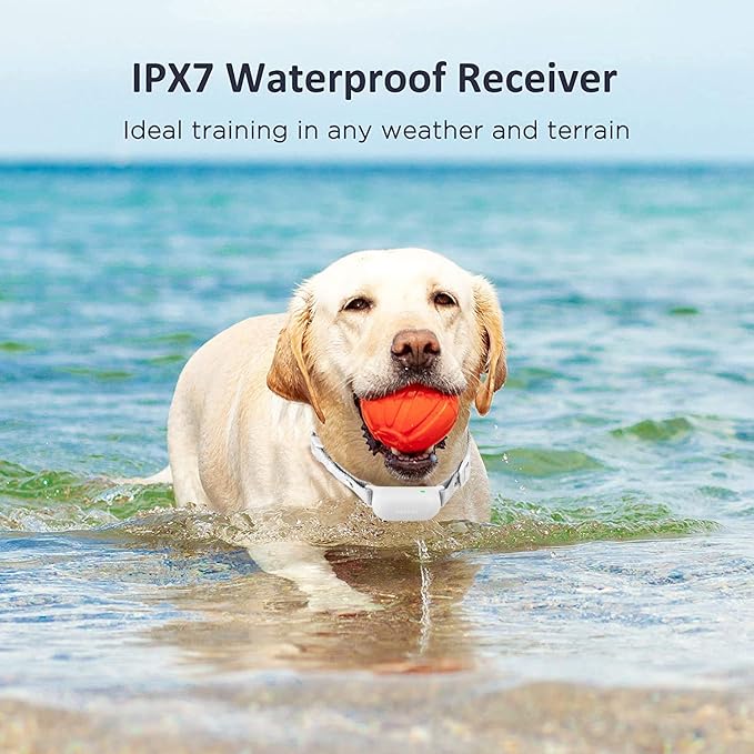 PATPET Dog Training Collar with Remote 3 Adjustable (8-120 lbs)