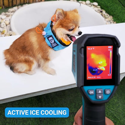 Cooling Collar for Dogs 16 PCM