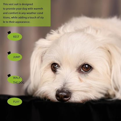 Elevate Your Pet's Seasonal Style with Playful Panache: Series4 Small