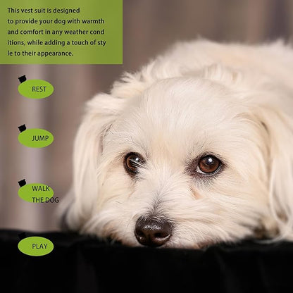 Elevate Your Pet's Seasonal Style with Playful Panache: Series1 Small