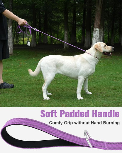 Aiyuda Tangle-Free Slip Lead for Dogs with Padded Traffic Handle 6ft Dog 40 LBS,Purple/Black