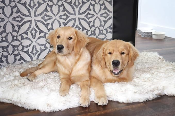 PupRug Orthopedic Dog Bed for Large Dogs with Fluffy Soft Faux Fur and Memory Foam for Joint Pain Relief