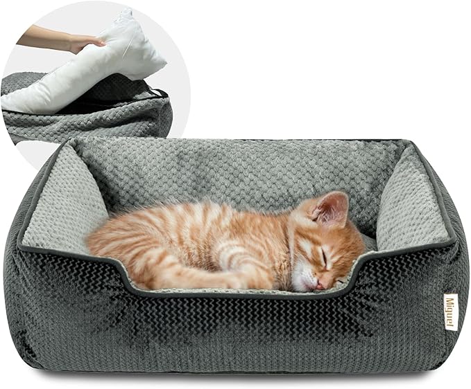 Miguel Cat Bed for Indoor Cats Washable Removable Cover 20 Inch