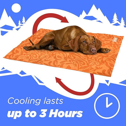 Coleman Small Coral Botanical Pattern Reversible Cooling Mat 18” x 24”