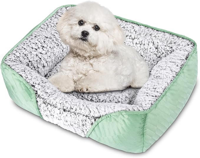 Dog Beds for Small Dogs