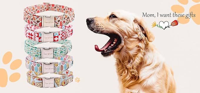 Unique Style Paws Dog Collar with Bow