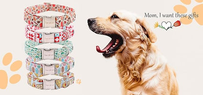 Unique Style Paws Dog Collar with Bow