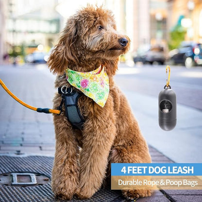 BAAPET 2/4/5/6 FT Dog Leash with Comfortable Padded Handle and Highly Reflective Threads for Small Medium and Large Dogs (4FT-1/2''