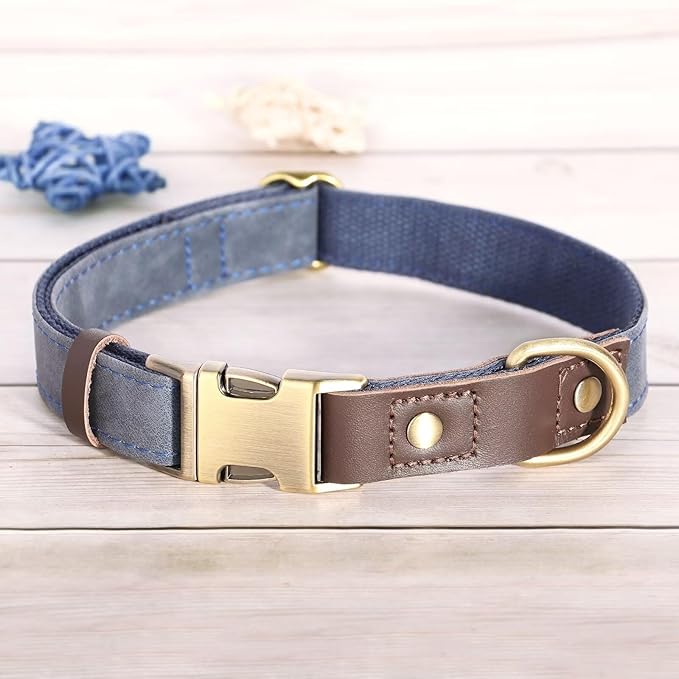Didog Soft Padded Leather Dog Collar for Large Dogs