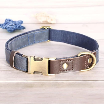 Didog Soft Padded Leather Dog Collar for Large Dogs