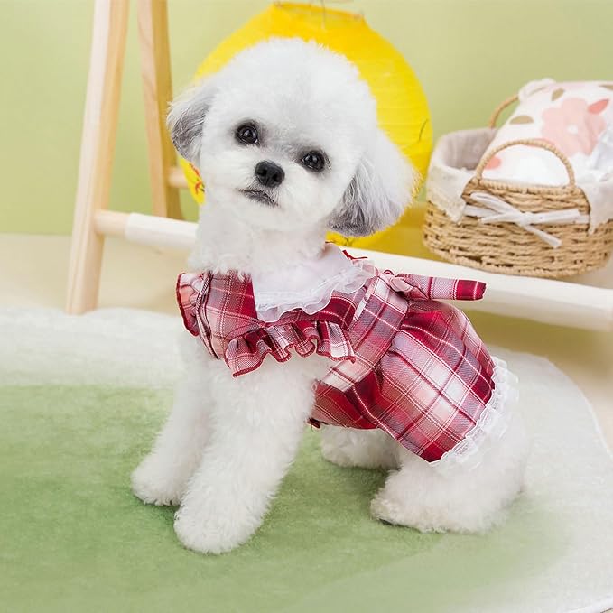 Plaid Dog Dress for Small Dogs Cats Bowknot Girl Dog Clothes with D-Ring Cute Princess Pet Puppy Dresses Spring Summer Pet Outfits for Chihuahua Yorkies Shih Tzu（Red