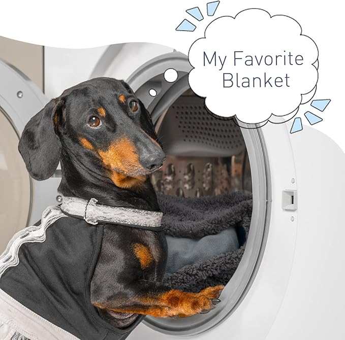 Kritter Planet Waterproof Blanket for Dogs