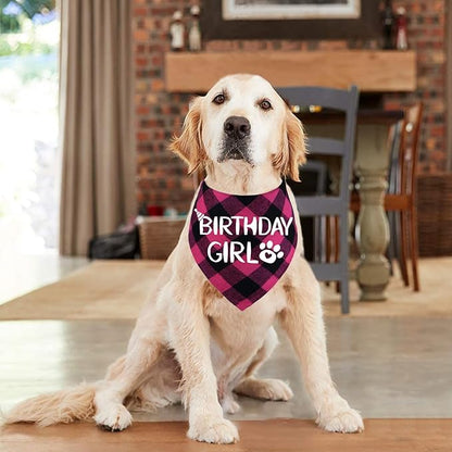 STMK Dog Birthday Bandana