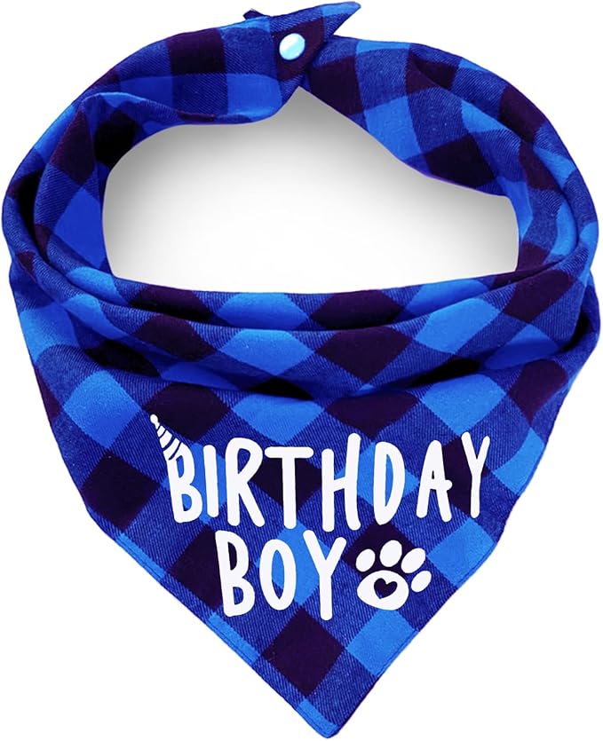 Birthday Plaid Dog Bandana with Button