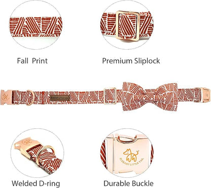 Elegant little tail Fall Dog Collar