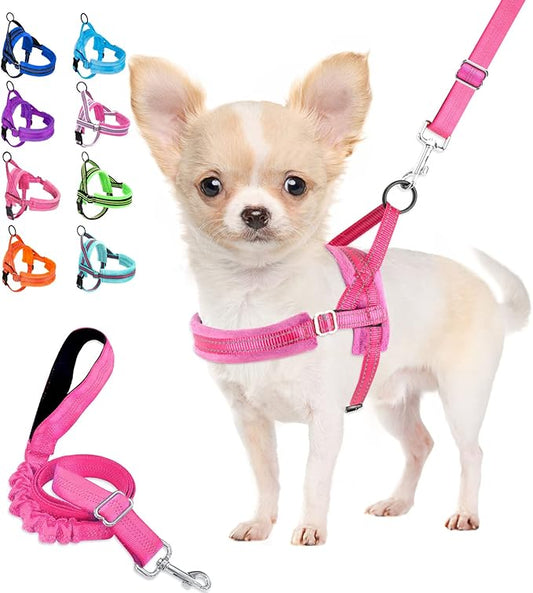 Lukovee Dog Harness and Leash Set, Soft Padded Small Dog Harness, Neck & Chest Adjustable Reflective Vest Puppy Harness with 4ft Lightweight Anti-Twist Dog Leash for Small Dogs (X-Small, Pink)