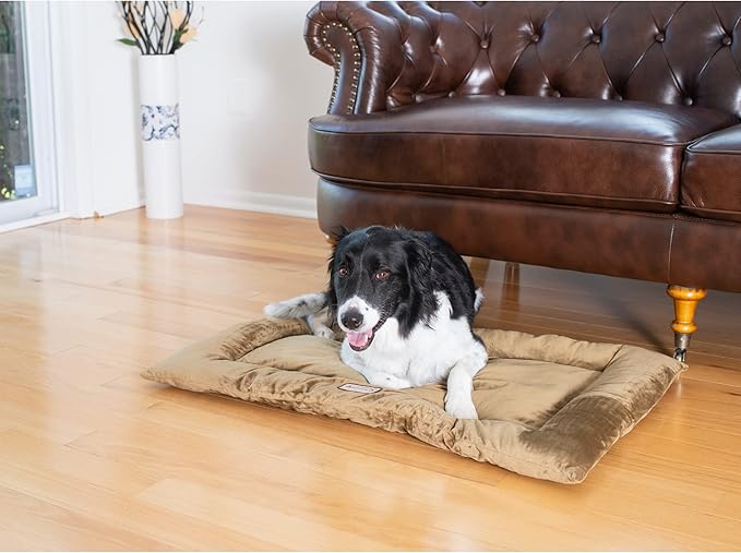 Armarkat Pet Bed Mat 35-Inch by 22-Inch by 3-Inch M01-Large