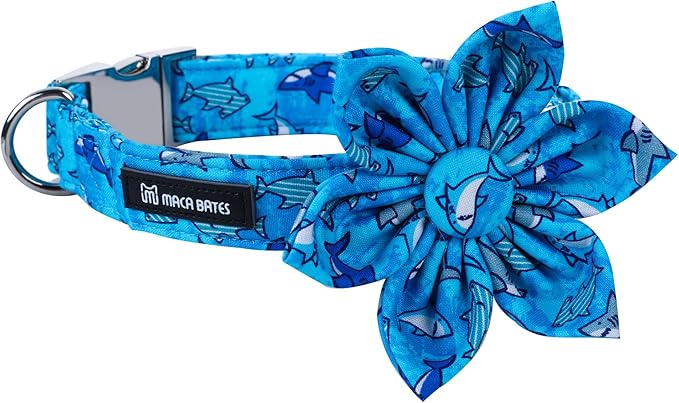 Maca Bates Flower Shark Dog Collar with Flowers for Dogs Blue Adjustable Breakaway Cute Collars Accessories Gift for Small Medium Large XL Puppy with Golden Metal Buckle