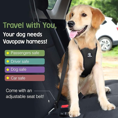 Dog Vehicle Safety Vest Harness, Adjustable Soft Padded Mesh Car Seat Belt Leash Harness with Travel Strap and Carabiner for Most Cars, Size Medium, Black