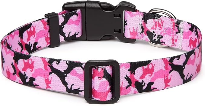 Adjustable Dog Collar with Patterns