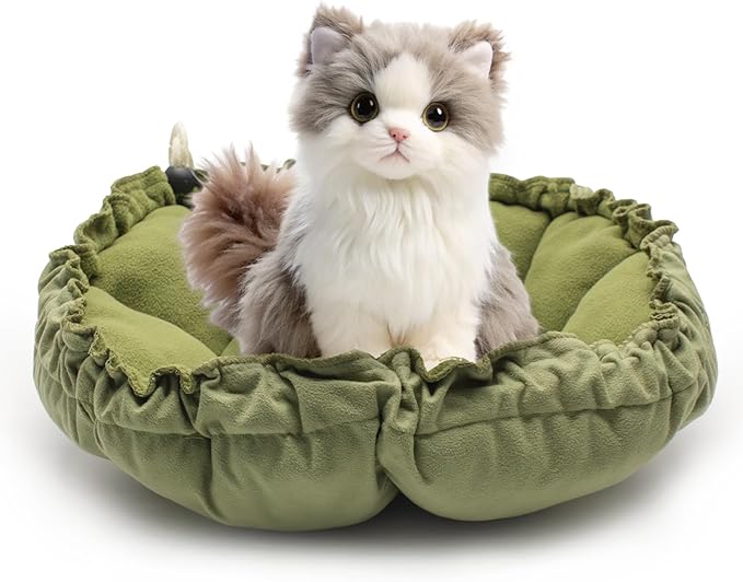Dog Beds for Small Dogs