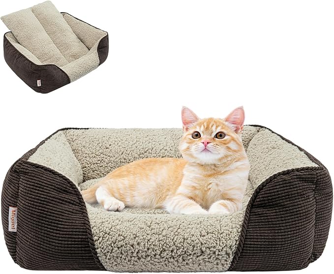 Miguel Washable Cat Beds for Indoor Cats with Removable Cushion 20 Inch