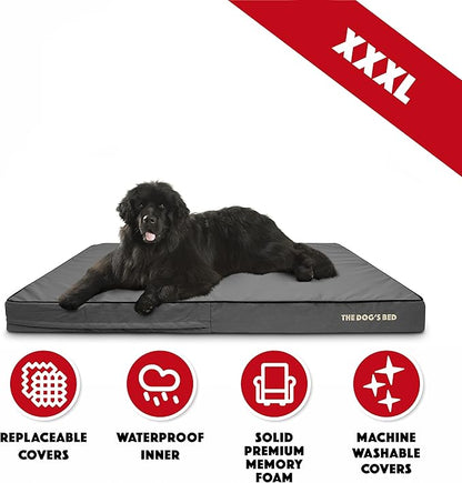 The Dog’s Bed Orthopedic Memory Foam Dog Bed 64x44, Pain
