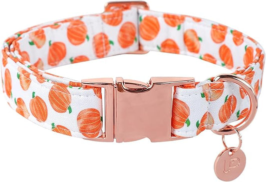 Halloween Dog Collar with Metal Buckle Gift Fall