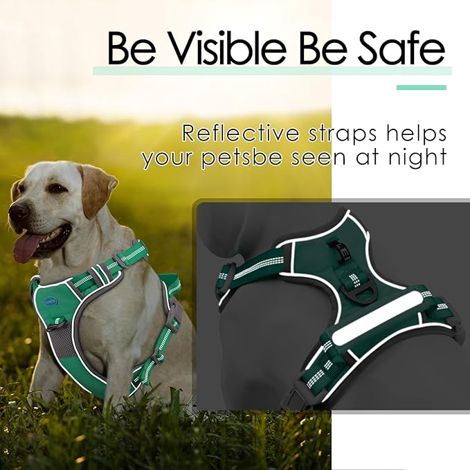 ThinkPet No Pull Harness Breathable Sport Harness with Handle-Dog Harnesses Reflective Adjustable for Medium Large Dogs,Back/Front Clip for Easy Control S Teal