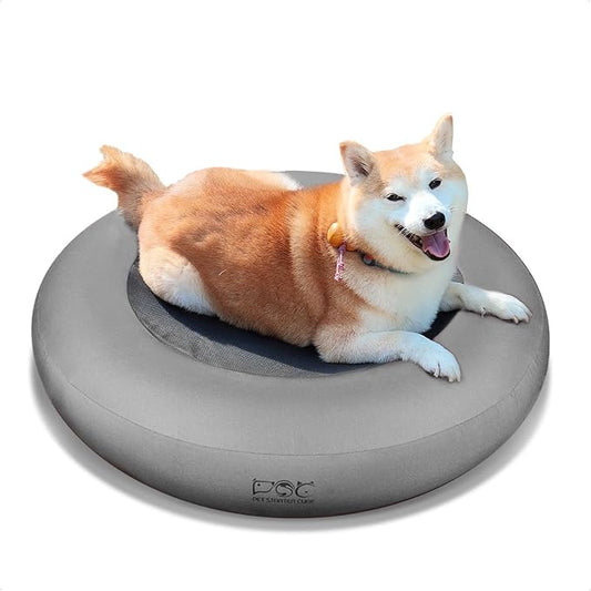Elevated Dog Bed