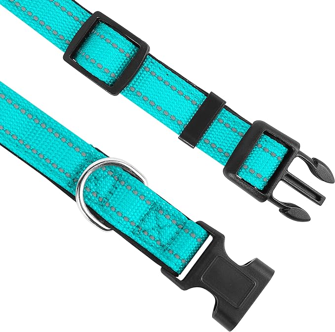 Reflective Dog Collar