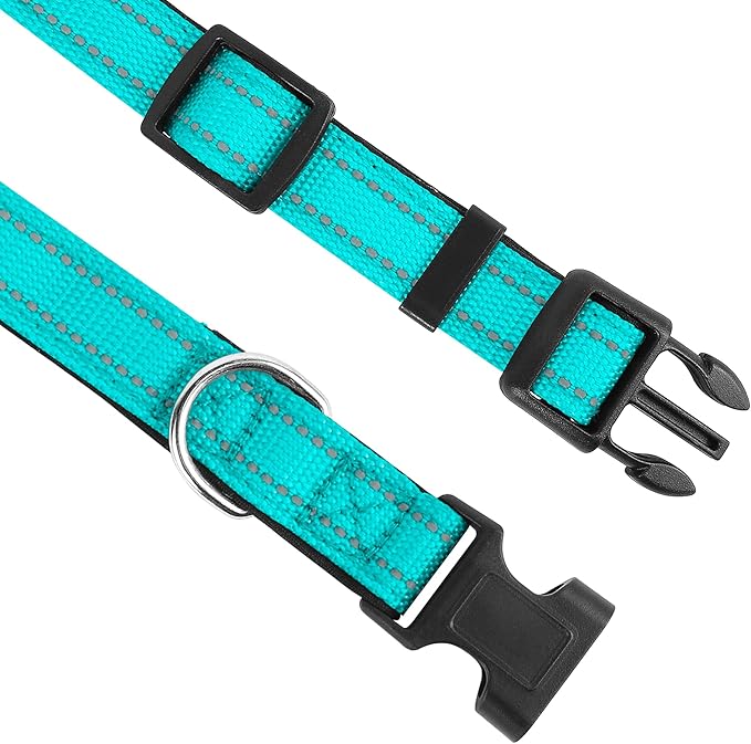 Reflective Dog Collar