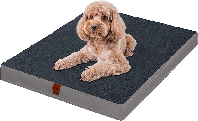 Easy-Going Dog Bed for Small Dogs (20x15x3 in,