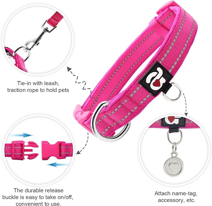 azuza Reflective Dog Collar