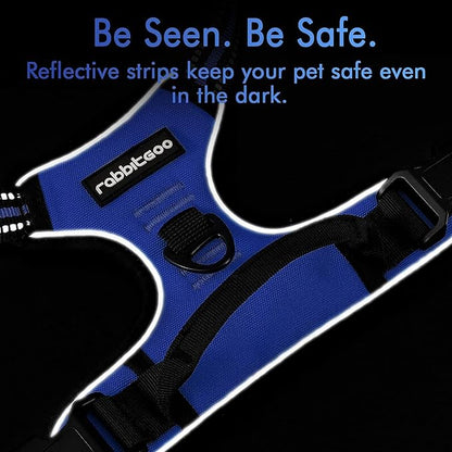 rabbitgoo Dog Harness 2 Leash