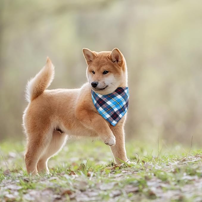 Christmas Dog Bandanas 6 Pieces Style,22 Inch)