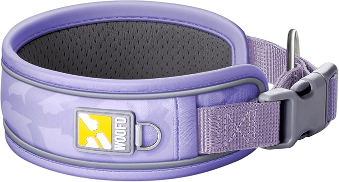 Premium Dog Collar
