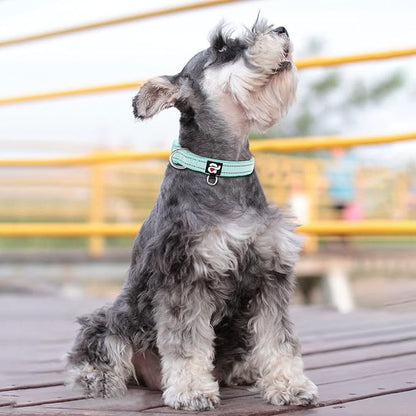 azuza Reflective Dog Collar