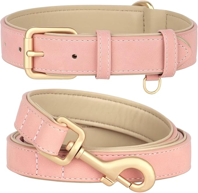 Beirui Soft Padded Leather Dog Collar and Leash Set 4FT Leather
