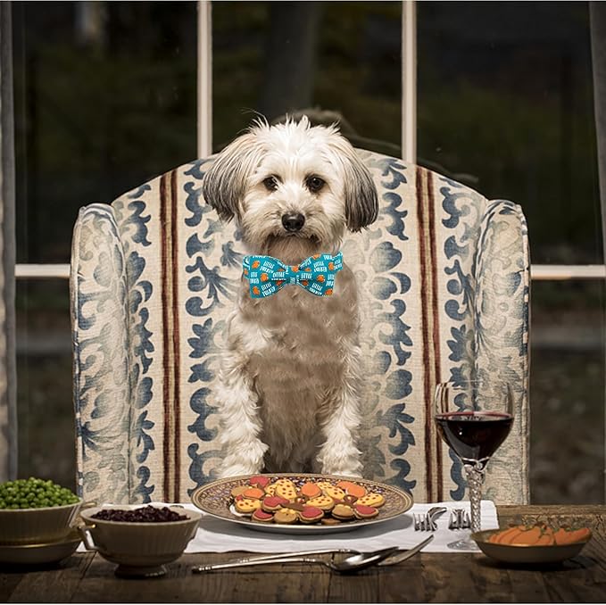 Lionheart glory Thanksgiving Dog Collar, Turkey Dog Bow Collar Adjustable Soft and Comfortable Bowtie Collars for Small Dogs Girl or Boy Pet Gift Fall Collar Dog Bow