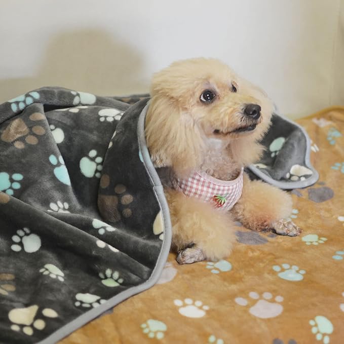 1 Pack 3 Puppy Blankets Super Soft Warm Sleep Mat Cute PAW Print Blanket Fleece Pet Blanket Flannel Throw Dog Blankets for Small Dogs Puppy Cats Gray/White/Brown-Small(23"x15")