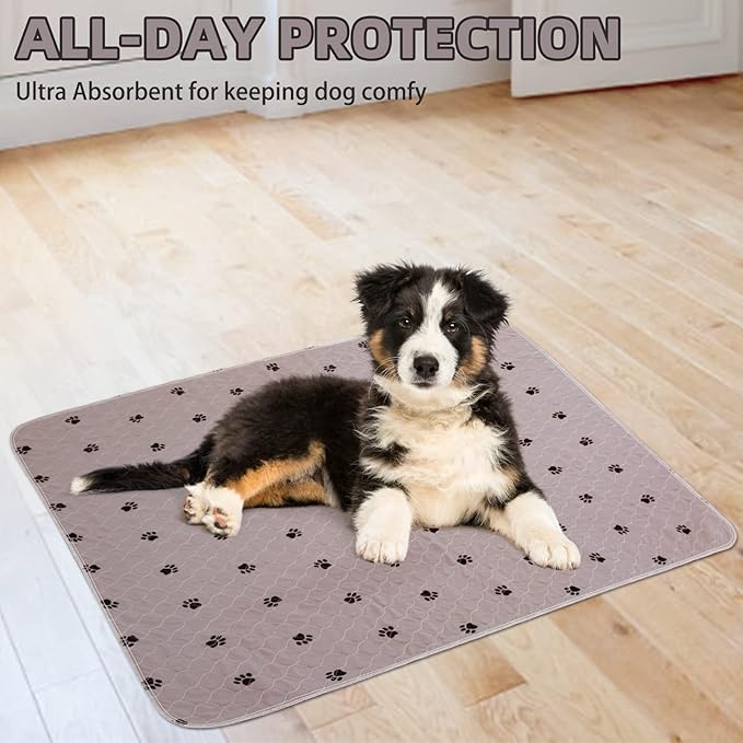 PUPTECK Washable Pee Pads for Dogs - 2 Pack 34" x 36" Waterproof Reusable Puppy Potty Training Pads Whelping Mat - Fast Absorption Non-Slip Pet Food Feeding Mat -Pad for Small Animals