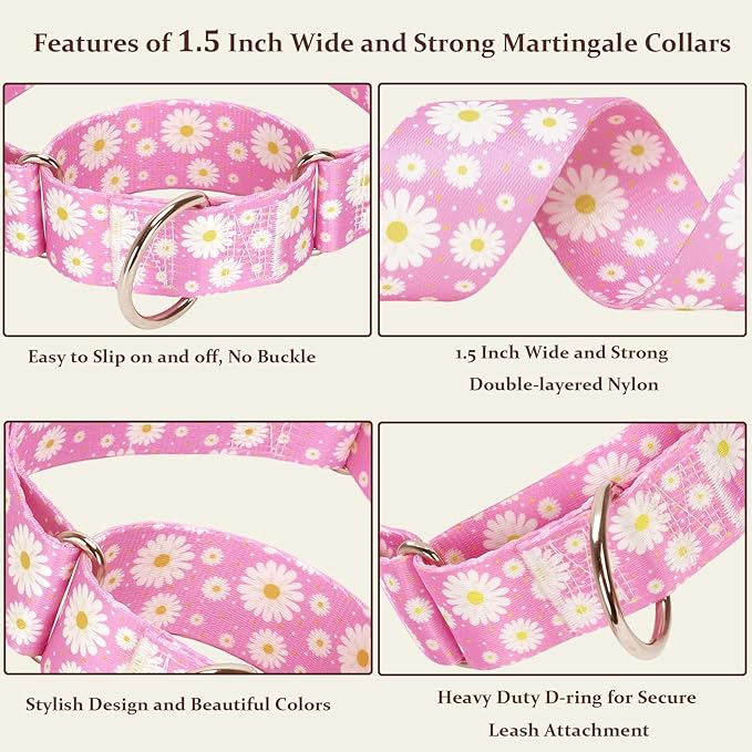Martingale Collar for Dogs 1.5 Inches