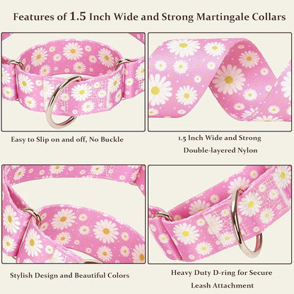 Martingale Collar for Dogs 1.5 Inches