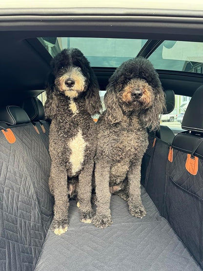 Hard Bottom Dog Car Seat Cover 52x26 inchs